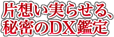 片想い実らせる、秘密のDX鑑定